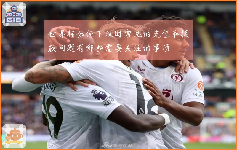 世界杯如何下注时常见的充值和提款问题有哪些需要关注的事项