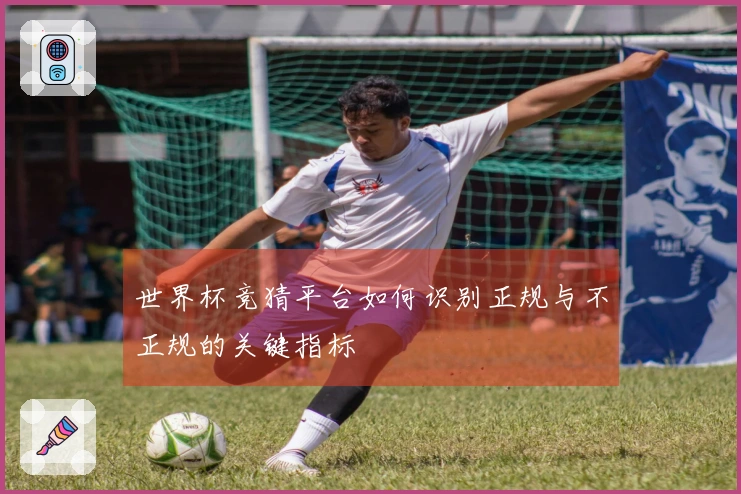 世界杯竞猜平台如何识别正规与不正规的关键指标