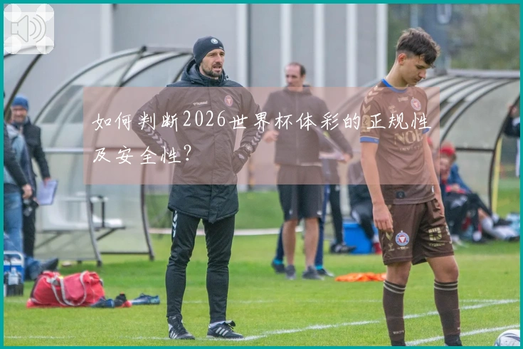 如何判断2026世界杯体彩的正规性及安全性？