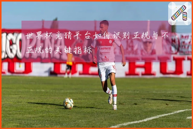 世界杯竞猜平台如何识别正规与不正规的关键指标